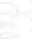 Fig. 43 - Organic dye, photoelectric conversion material, semiconductor electrode and photoelectric conversion device