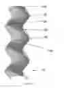 Fig. 02 - Method for determining the size of tubular pipe to be inserted in a borehole
