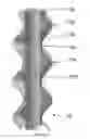 Fig. 03 - Method for determining the size of tubular pipe to be inserted in a borehole