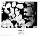 Fig. 02 - Electrochemical Reduction of Metal Oxides