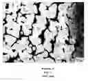 Fig. 03 - Electrochemical Reduction of Metal Oxides