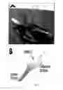 Fig. 02 - Surface-independent, surface-modifying, multifunctional coatings and application thereof