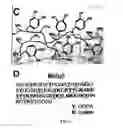 Fig. 03 - Surface-independent, surface-modifying, multifunctional coatings and application thereof