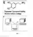 Fig. 04 - Surface-independent, surface-modifying, multifunctional coatings and application thereof