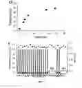 Fig. 05 - Surface-independent, surface-modifying, multifunctional coatings and application thereof