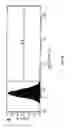 Fig. 41 - Surface-independent, surface-modifying, multifunctional coatings and application thereof