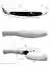 Fig. 02 - HANDHELD COLONY COUNTER