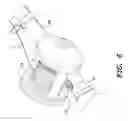Fig. 07 - Anti-backlash device