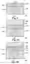 Fig. 06 - Pillar phase change memory cell