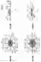 Fig. 09 - Mounting structure for semiconductor element