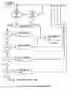 Fig. 25 - Method and apparatus and system for adjusting power to HID lamp to control level of light output and conserve energy (ballast multi-tap power output)