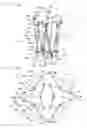 Fig. 02 - Lower half body module of bipedal walking robot
