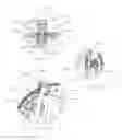Fig. 09 - Low AZEl Lockdown Shift Antenna Mount