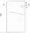 Fig. 04 - LIQUID EJECTION APPARATUS, IMAGE FORMING APPARATUS AND EJECTION DETERMINATION METHOD