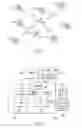 Fig. 02 - Wireless communication equipment system for wireless local area network communication, and wireless communication sequence for the system