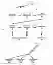 Fig. 01 - Multimedia data reorganization between base layer and enhancement layer