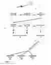 Fig. 02 - Multimedia data reorganization between base layer and enhancement layer