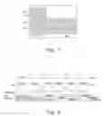 Fig. 08 - METHOD AND APPARATUS FOR ENCODING AND DECODING OF VIDEO STREAMS
