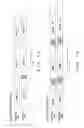 Fig. 02 - Transmission mode/guard length detection circuit and method therefor