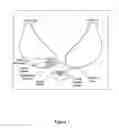 Fig. 02 - Method for automatic anatomy-specific treatment planning protocols based on historical integration of previously accepted plans