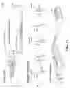 Fig. 02 - Arrangement and imaging of biological samples