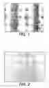 Fig. 02 - Method of separating vertical and horizontal components of a rasterized image