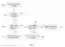 Fig. 12 - Two-dimensional timeline display of media items