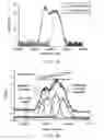 Fig. 19 - Apparatus and method for ranging and noise reduction of low coherence interferometry LCI and optical coherence tomography OCT signals by parallel detection of spectral bands