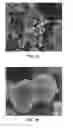 Fig. 02 - Method for manufacturing carbon nanostructures having minimal surface functional groups