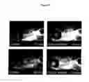 Fig. 22 - Methods of screening agents for activity using teleosts