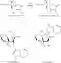 Fig. 02 - SKIN-LIGHTENING COMPOSITIONS WITH AN IMPROVED ACTION