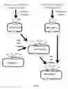 Fig. 02 - Genetically encoded multifunctional compositions bidirectionally transported between peripheral blood and the cns