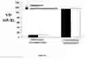 Fig. 40 - Genetically encoded multifunctional compositions bidirectionally transported between peripheral blood and the cns