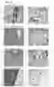 Fig. 05 - Anti-α9 integrin antibody and the use thereof