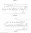 Fig. 02 - Anti-Angiogenic Compounds