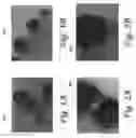 Fig. 02 - Self-healing coating and microcapsules to make same