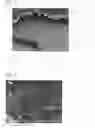 Fig. 02 - Multifunctional material