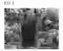 Fig. 07 - Multifunctional material