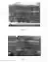 Fig. 02 - Coated cutting tool