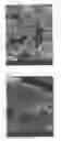 Fig. 03 - Process for Producing Spherical Polymer Powder and Spherical Powder Comprising (Meth)Acrylic Block Copolymer