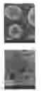 Fig. 04 - Process for Producing Spherical Polymer Powder and Spherical Powder Comprising (Meth)Acrylic Block Copolymer