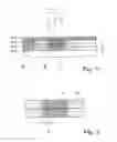 Fig. 02 - Powder for layerwise manufacturing of objects