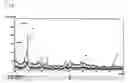 Fig. 08 - Cathode active material, cathode material having the cathode active material, secondary aqueous lithium-ion battery having the cathode material, and method for preparing the cathode active material