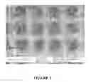 Fig. 02 - Substrates for immobilizing cells and tissues and methods of use thereof