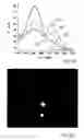 Fig. 05 - Optical Detection of Analytes by Use of Semiconductor Nanoparticles
