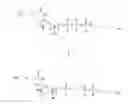 Fig. 01 - Charge switch nucleotides