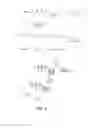 Fig. 19 - Charge switch nucleotides