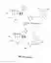 Fig. 20 - Charge switch nucleotides