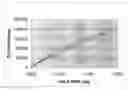 Fig. 01 - Method for simultaneously determining in a single multiplex reaction gender of donors and quantities of genomic DNA and ratios thereof, presence and extent of DNA degradation, and PCR inhibition within a human DNA sample