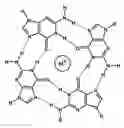 Fig. 01 - Label-free optical sensing and characterization of biomolecules by dor dmetal complexes